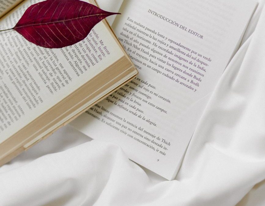 The Skills Gap is Real: 5 Books to Master AI and Scale Your Small Business Today